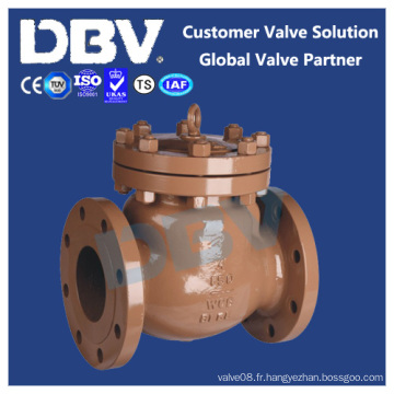 ASME Wcb Flanged Check Valves